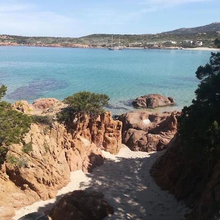 Appartamenti In Villa La Marinedda Isola Rossa Dış mekan fotoğraf