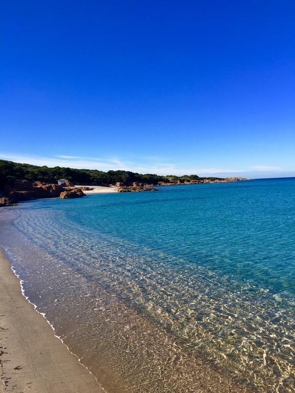 Appartamenti In Villa La Marinedda Isola Rossa Dış mekan fotoğraf