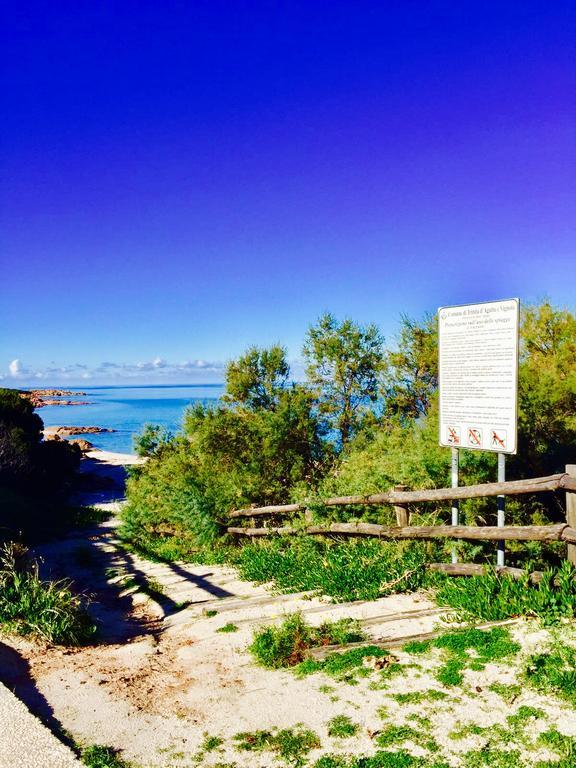 Appartamenti In Villa La Marinedda Isola Rossa Dış mekan fotoğraf