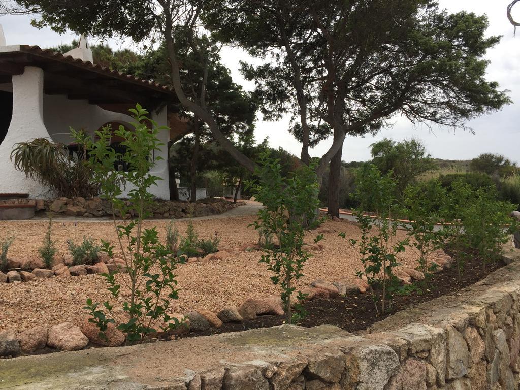 Appartamenti In Villa La Marinedda Isola Rossa Dış mekan fotoğraf